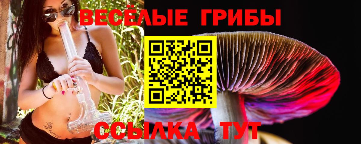 Долгопрудный  Псилоцибиновые грибы MAGIC MUSHROOMS  Вход с VPN 
